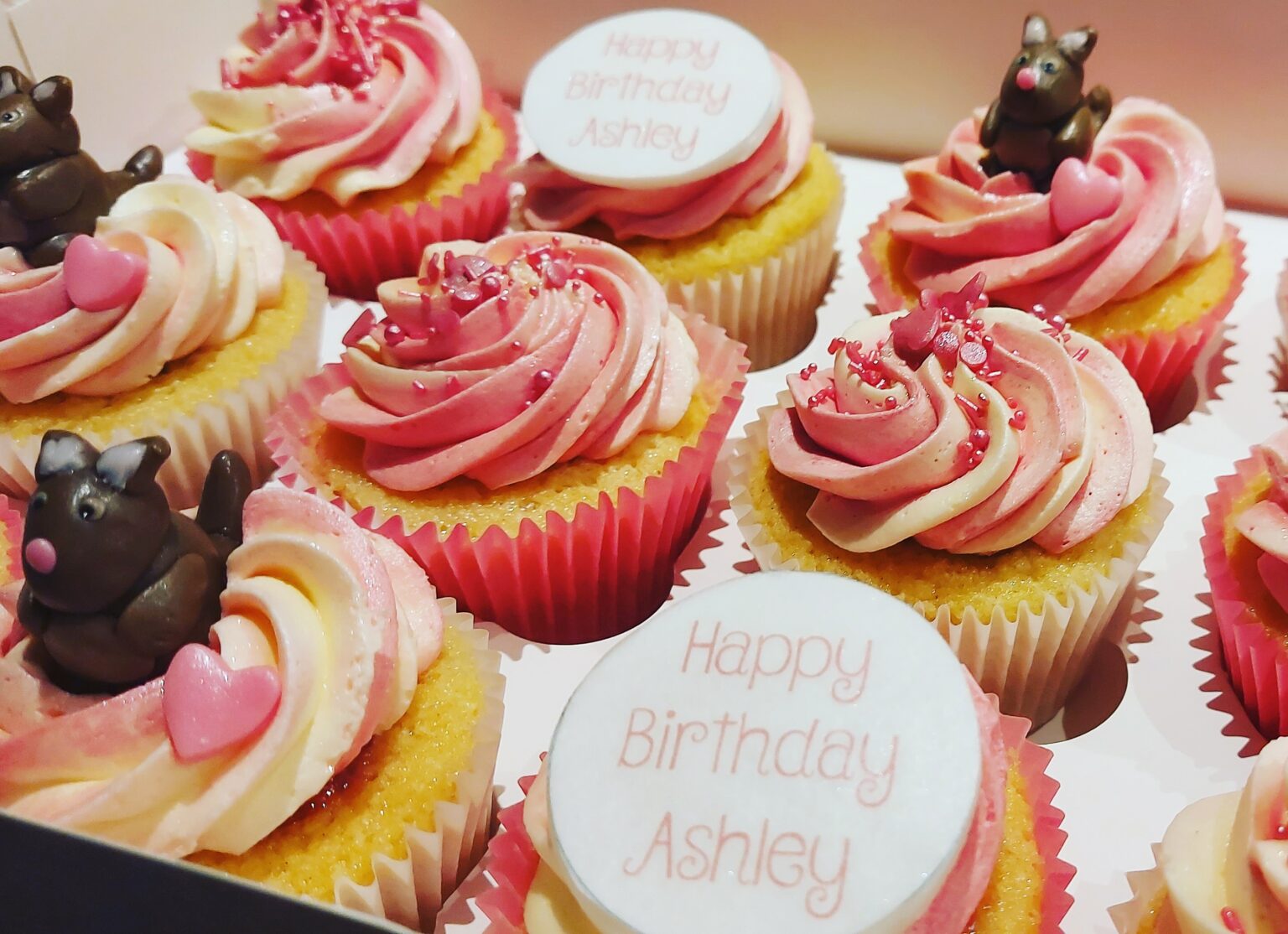 What Are You Looking For? The Mini Baker