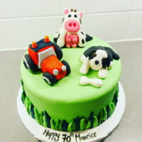 Farmer Birthday Cake Northern Ireland