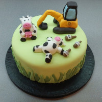 Bespoke Birthday Cakes Belfast