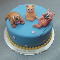 Custom Birthday Cakes Northern Ireland