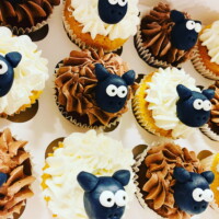 Cupcakes Belfast