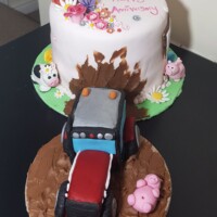 Bespoke 25th Anniversary Cake