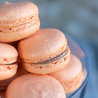 The Mini Baker Feature Image